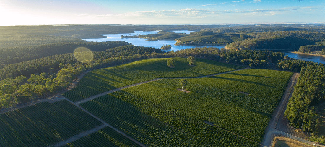 Amadio Wines bird's eye view